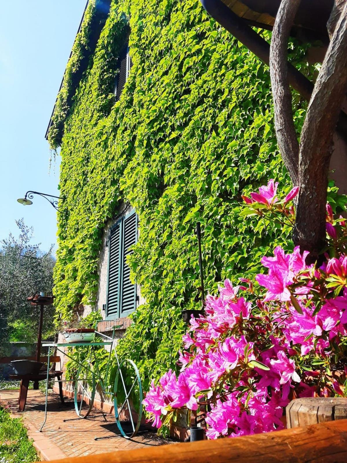 Agriturismo Ca Di Rossi Villa Mulazzo Exterior foto